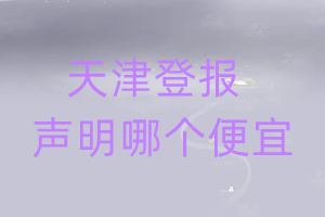 天津登报声明哪个便宜