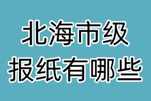 北海市级报纸有哪些