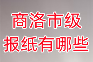 商洛市级报纸有哪些
