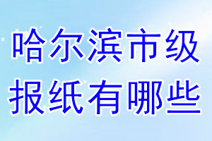 哈尔滨市级报纸有哪些